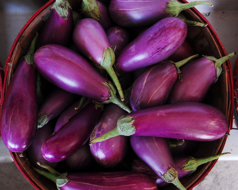"Purple Eggplants" .