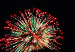 Psychedelic Dandelion - multi-colored fireworks