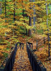 Fall walk across the bridge - Autumn in the Cuyahoga Valley National Park crossing a trail bridge
