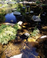 photograph of serene and peaceful Oak Creek near Sedona, Arizona