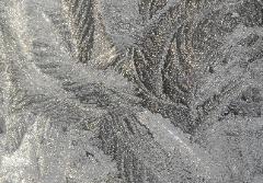 Photograph of a frost pattern on window resembling feathers