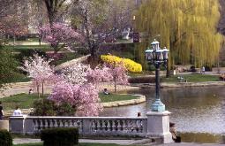 Photograph of Cleveland Museum of Art reflecting pond in spring